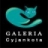 galeriacyjankota